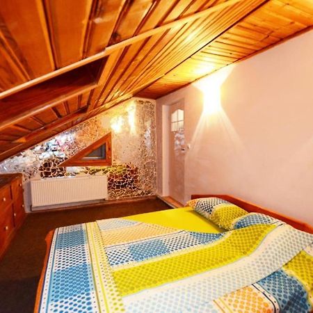 Rustic & Romantic Apartment 布拉索夫 外观 照片